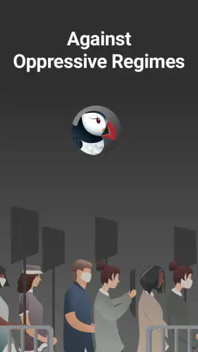 Puffin Incognito-browser screenshot