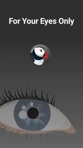 Puffin Incognito-browser screenshot