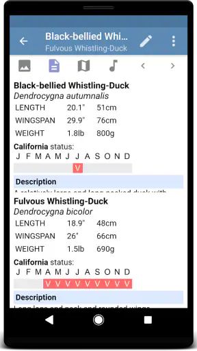 Sibley Birds 2nd Edition screenshot