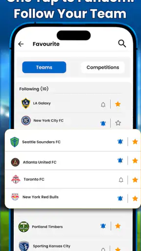 Soccer Live Scores: Stats screenshot