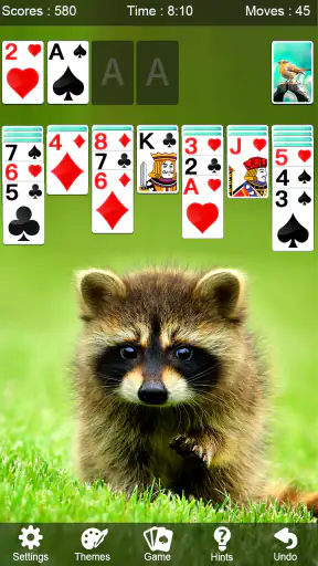Solitaire - Patience Kaartspel screenshot