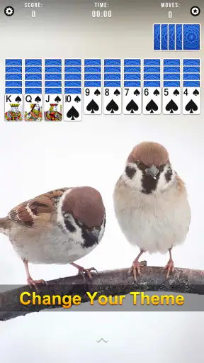Spider Solitaire screenshot