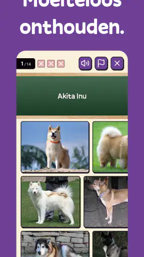 Squiz - Leren met Quiz cultuur screenshot