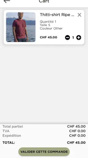 Teorem screenshot