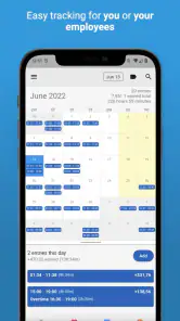 Timesheet salarisoverzicht screenshot