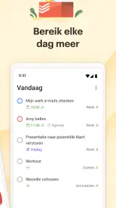 Todoist: to do-list & agenda screenshot
