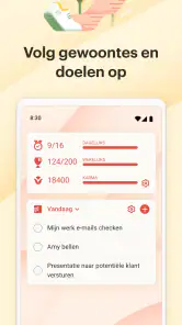 Todoist: to do-list & agenda screenshot