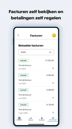 Vattenfall Energie screenshot