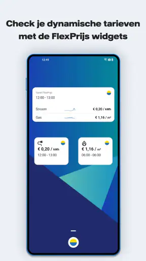 Vattenfall Energie screenshot