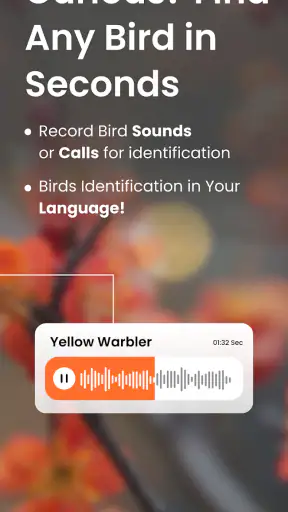 Vogelgeluiden Herkennen App screenshot