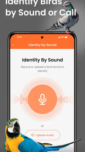 Vogelgeluiden Herkennen App screenshot