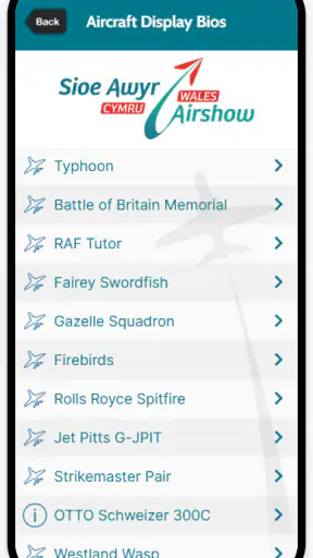 Wales Airshow screenshot
