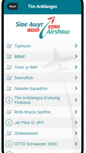 Wales Airshow screenshot