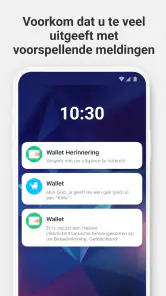 Wallet - Budget Tracker screenshot