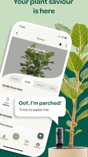 Willow screenshot