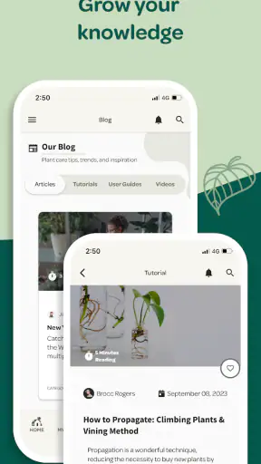 Willow screenshot