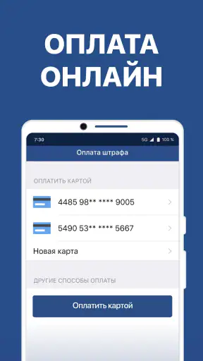 Штрафы ГИБДД с фото и ОСАГО screenshot