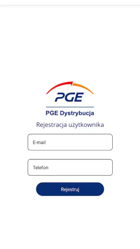 991 Assistant PGE Dystrybucja screenshot