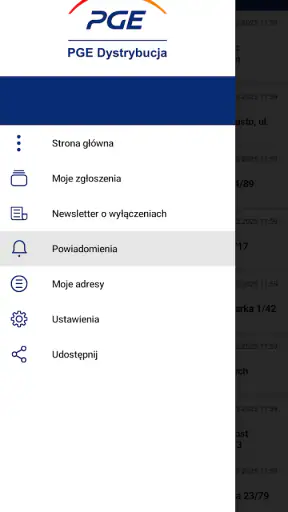 991 Assistant PGE Dystrybucja screenshot