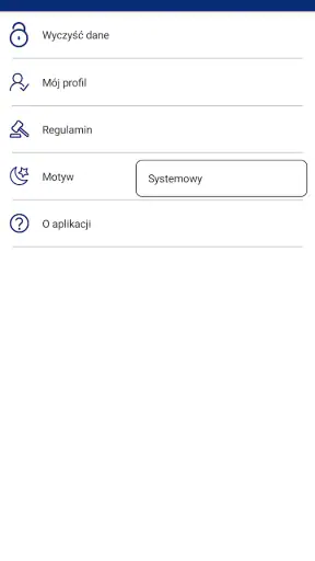 991 Assistant PGE Dystrybucja screenshot
