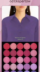 Analiza Kolorystyczna Dressika screenshot