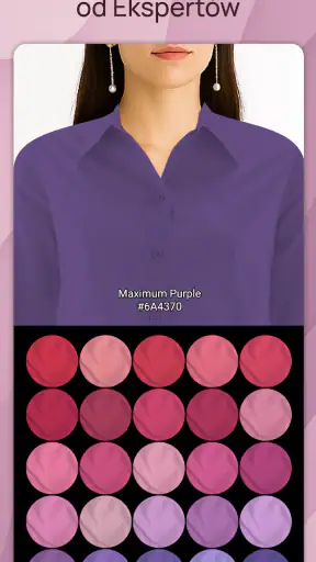 Analiza Kolorystyczna Dressika screenshot