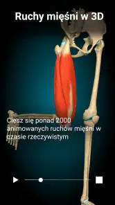 Anatomy Learning - Anatomia 3D screenshot