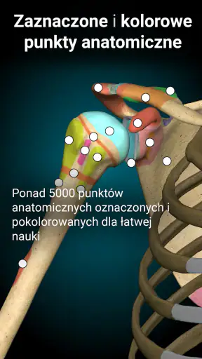 Anatomy Learning - Anatomia 3D screenshot