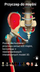 Anatomy Learning - Anatomia 3D screenshot