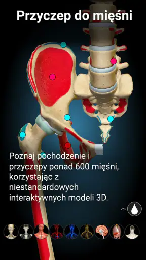 Anatomy Learning - Anatomia 3D screenshot