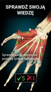 Anatomy Learning - Anatomia 3D screenshot