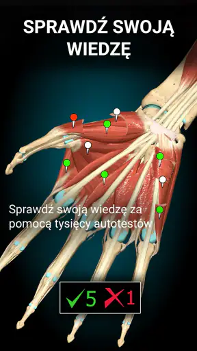 Anatomy Learning - Anatomia 3D screenshot