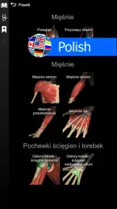 Anatomy Learning - Anatomia 3D screenshot