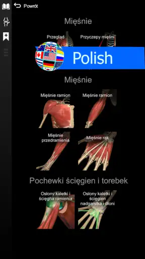 Anatomy Learning - Anatomia 3D screenshot