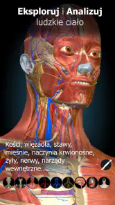 Anatomy Learning - Anatomia 3D screenshot
