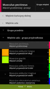 Anatomyka - Anatomia 3D screenshot