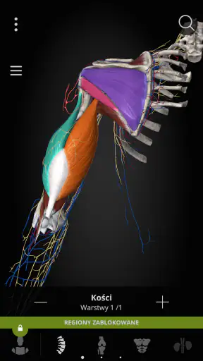 Anatomyka - Anatomia 3D screenshot