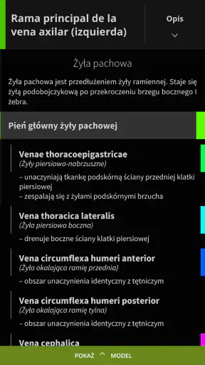 Anatomyka - Anatomia 3D screenshot