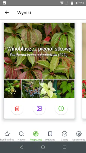 Atlas roślin offline screenshot