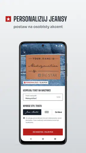 BIG STAR screenshot