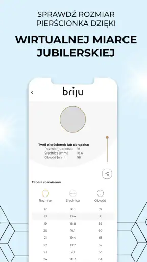 Briju screenshot