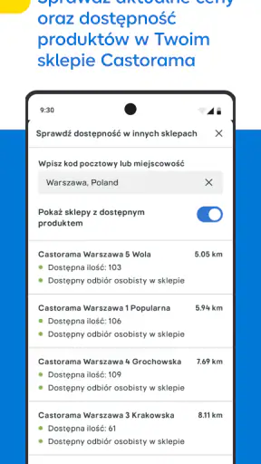 Castorama screenshot