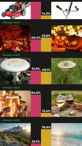 Choicer screenshot