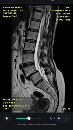 DICOM Viewer screenshot
