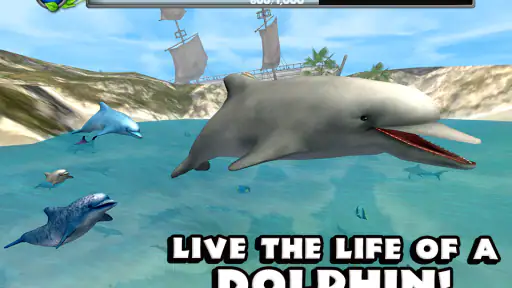 Dolphin Simulator screenshot
