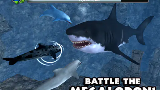 Dolphin Simulator screenshot