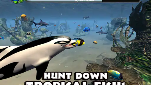 Dolphin Simulator screenshot