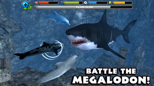 Dolphin Simulator screenshot