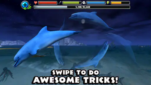 Dolphin Simulator screenshot
