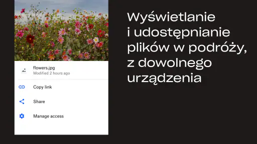 Dropbox: inteligentne archiwum screenshot